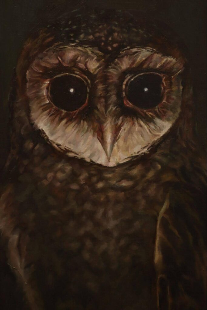 Alien Observer (2024) details