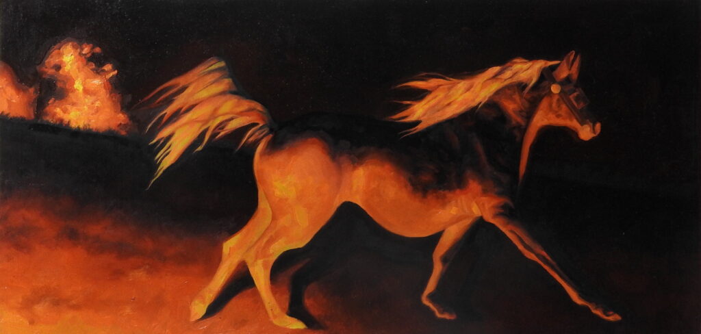 Paranoid Animal (2025)